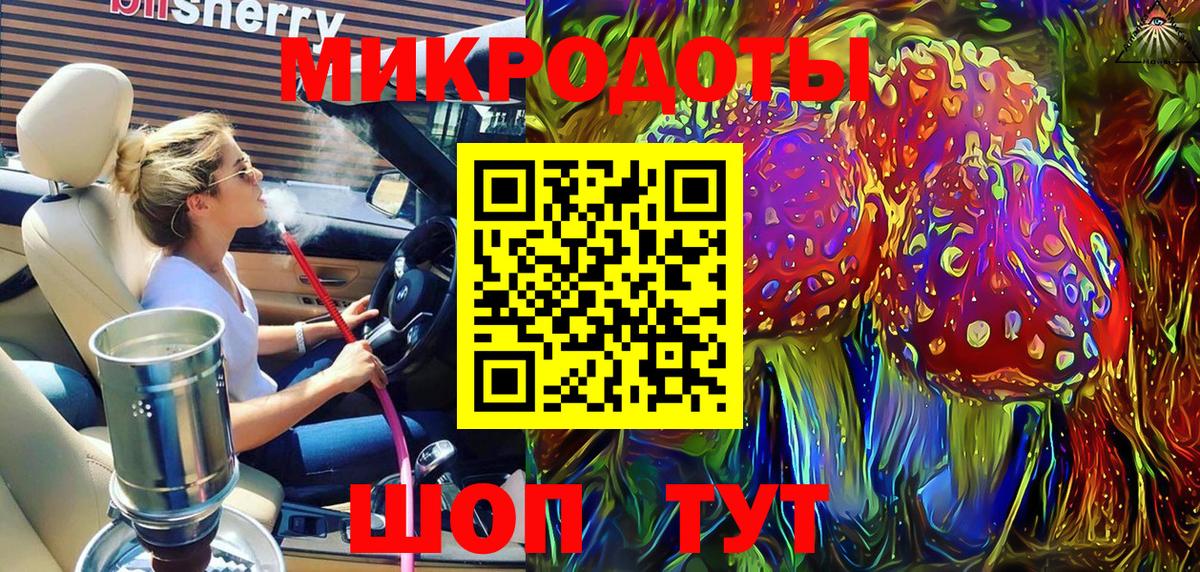 Галлюциногенные грибы Psilocybe  Вход с VPN  Зима 